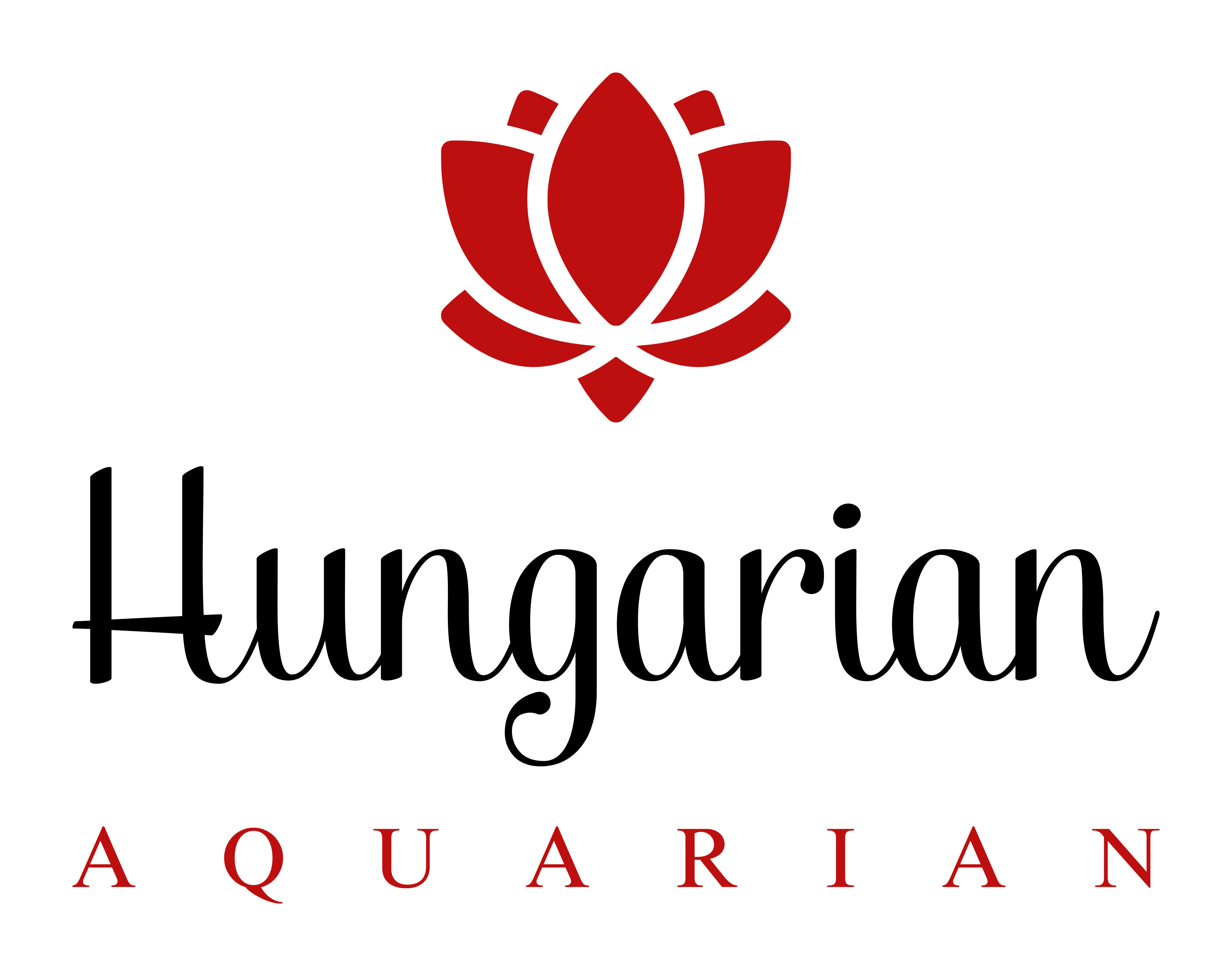Hungarian Aquarian