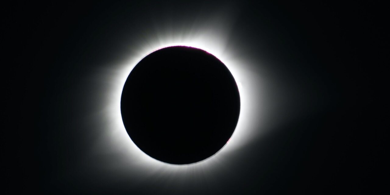 The Monthly Forecast Round-Up:   June 2020