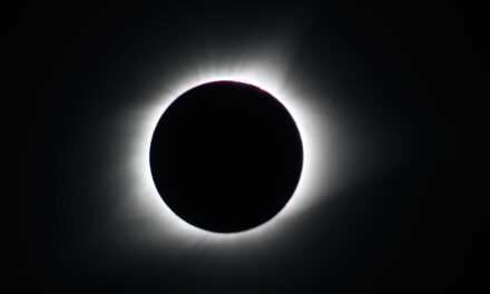 The Monthly Forecast Round-Up:   June 2020