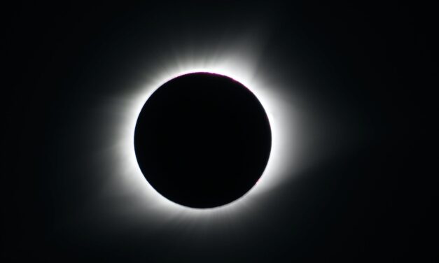 The Monthly Forecast Round-Up:   June 2020